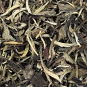 Yue Guang Bai "Lumina Lunii"
