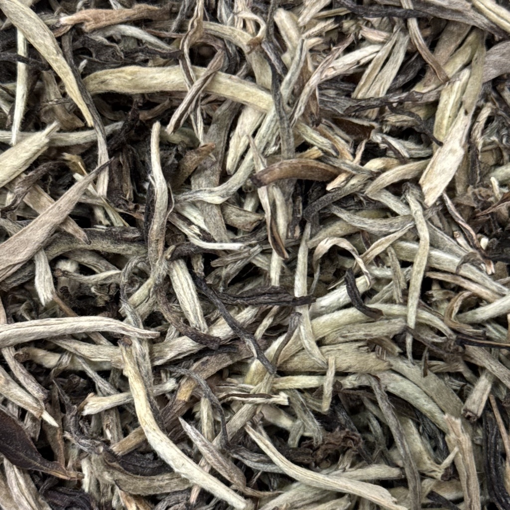 Bai Hao Yin Zhen "Ace De Argint"